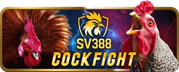 Sự kiện đua top 79kin code